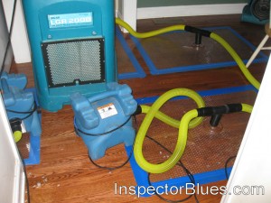 Hardwood Floor Dehumidifier